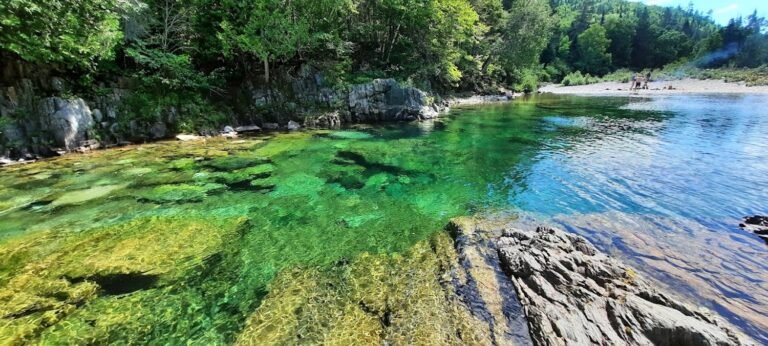 Réserve faunique de Port-Daniel (Sépaq) Gaspesie