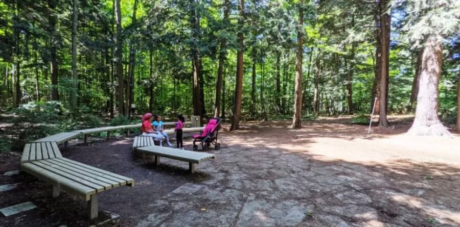 Réserve naturelle du Boisé-de-la-Marconi