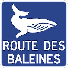 Route des Baleines - Tadoussac- Cote-Nord