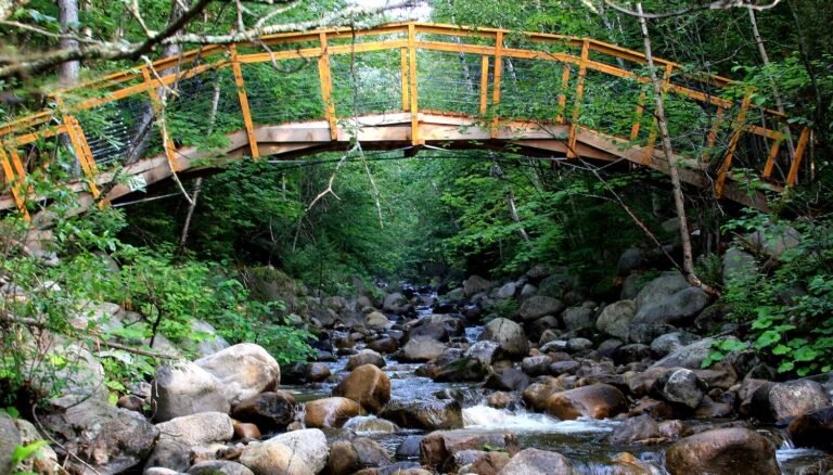 Sentier de la Forêt Marine - La Seigneurie-Charlevoix