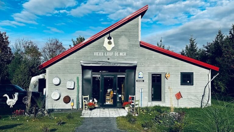 Vieux Loup de Mer - Photo 1