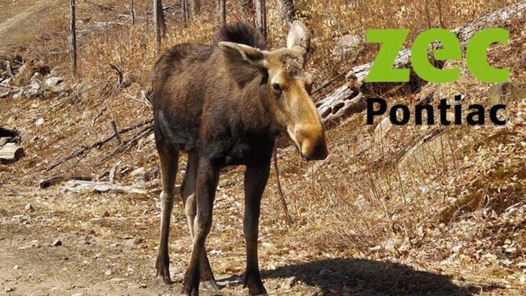 ZEC Pontiac-Outaouis ZEC Pontiac-Outaouis