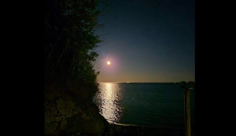 Camping Bois de Mer-Carleton-sur-Mer-Gaspésie