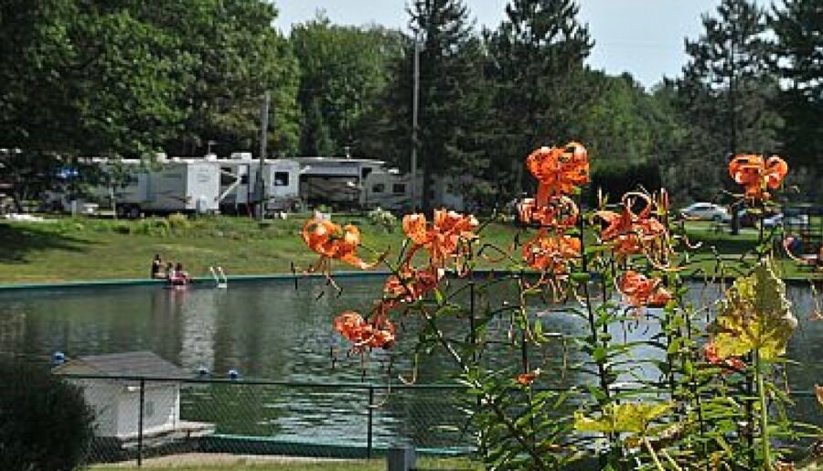 Camping municipal de Chazel