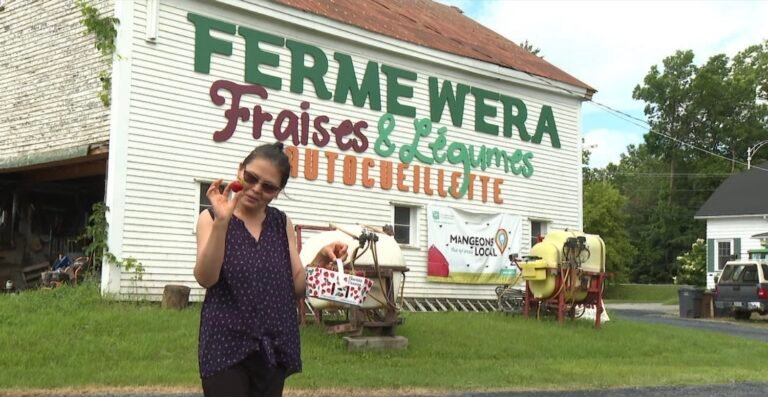 Ferme Wera Waterville - Cantons de lEst