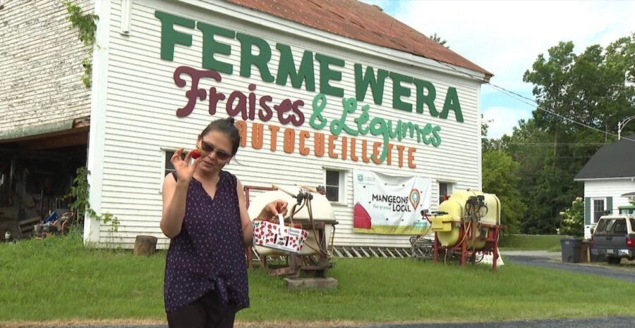 Ferme Wera
