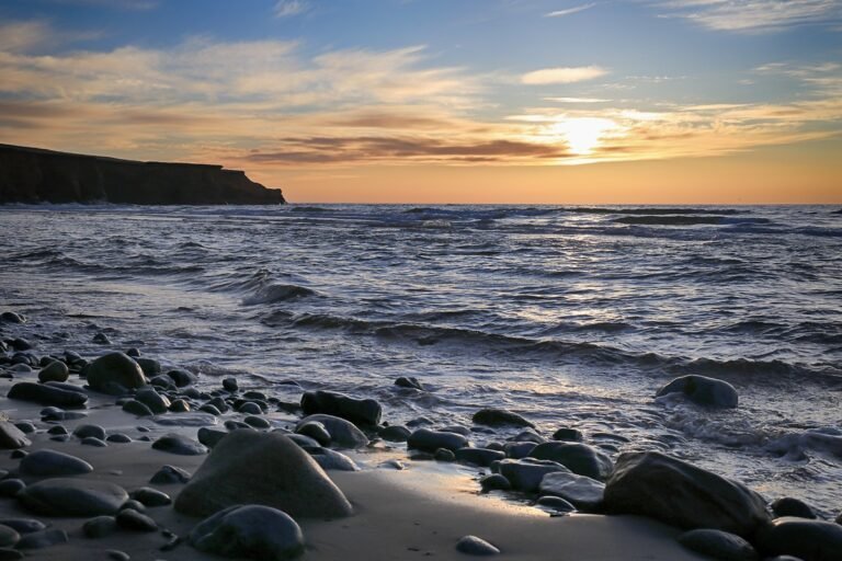 La Maison du Héron - Photo 1