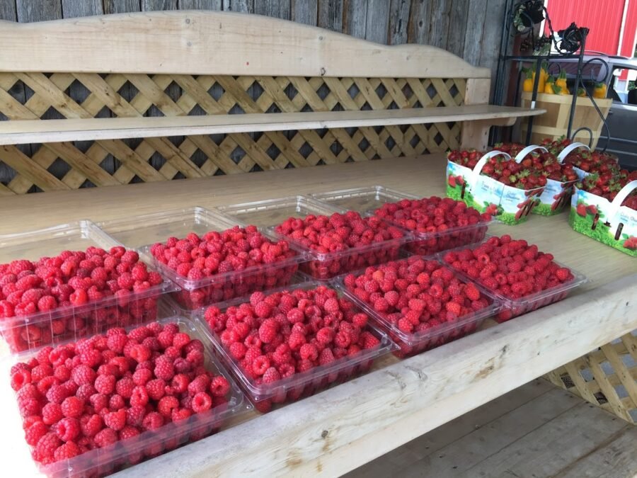 La Vallée de la Framboise