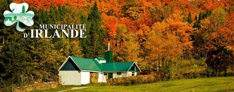 Municipalité d'Irlande