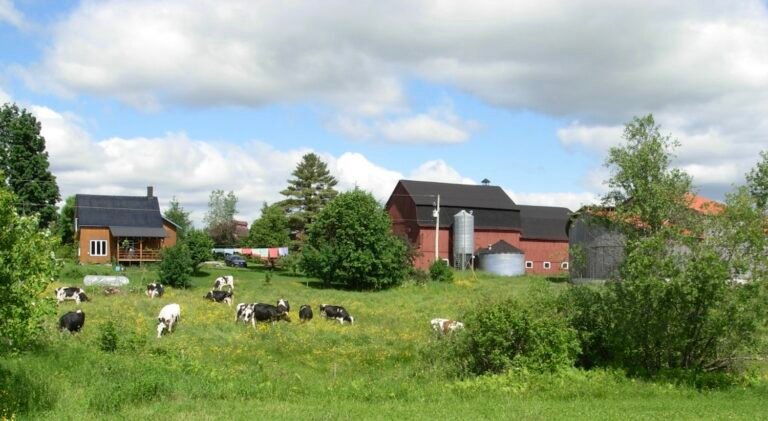 Municipalité de Durham-Sud