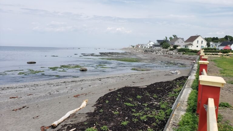 Parc des Rives - Photo 1