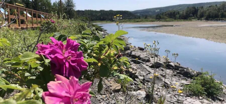 Parc municipale Ste-Anne-des-Monts