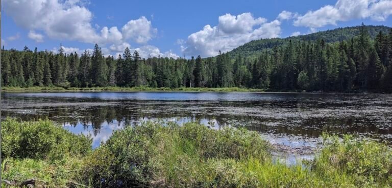 Parc régional de la Forêt Ouareau