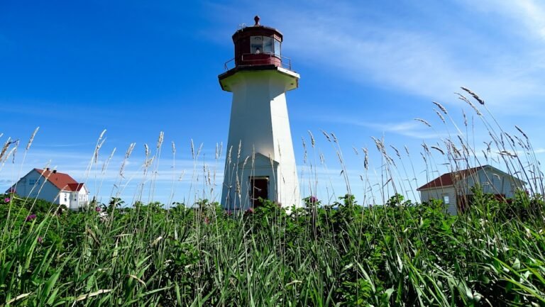 Phare du Cap-Blanc - Photo 1