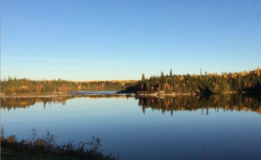 Sentiers parc du Réseau Bell-Nature