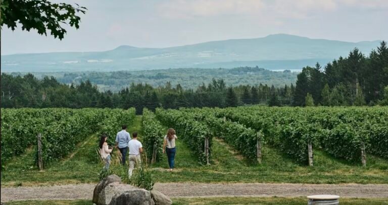 Tourisme Cantons de lESt