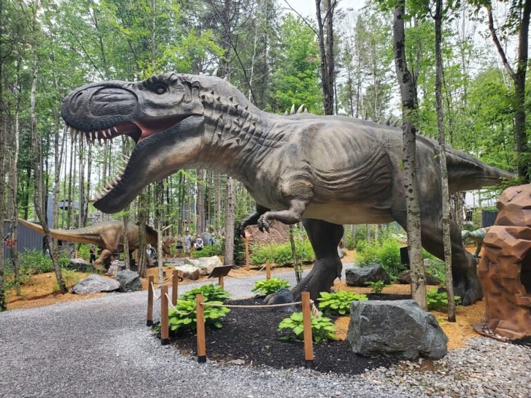 Woodooliparc - Chaudière-Appalaches - Scott