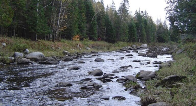 Zec St-Romain – La route des sommets - Cantons-de-l'Est / Estrie - Saint-Romain