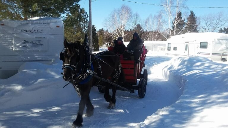 Camping le gitan- LaTerriere