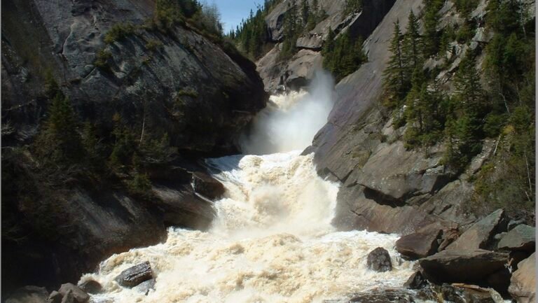 Chute MacDonald Chute MacDonald