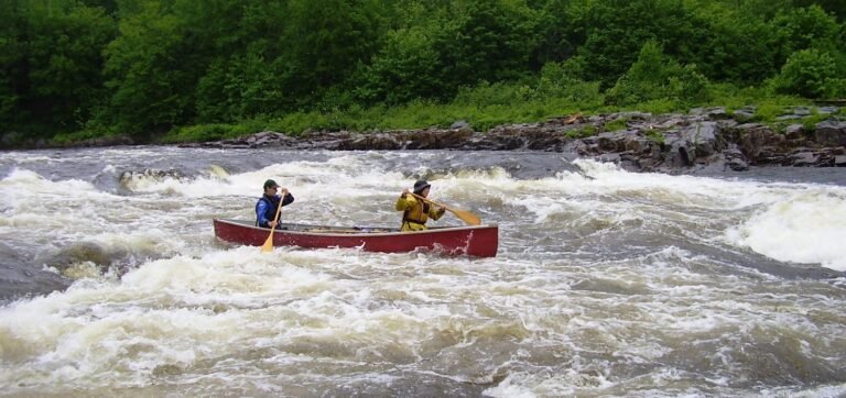 Exit Nature - Notre-Dame-de-Montauban