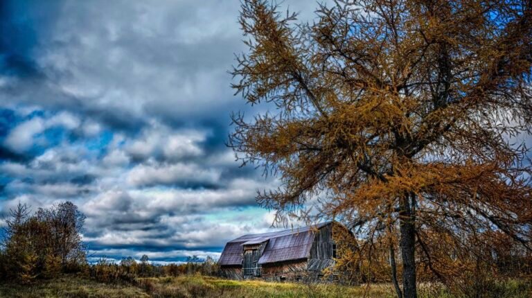Municipalité Sainte-Gertrude-Manneville