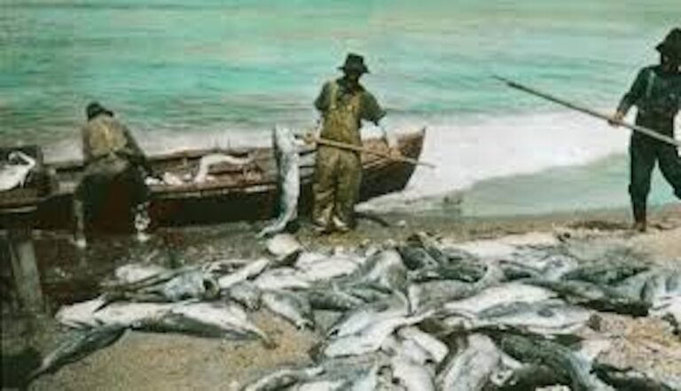 Poissonnerie Blanc-Sablon Inc