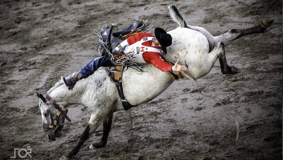 Rodéo de Sainte-Catherine-de-la-Jacques-Cartier