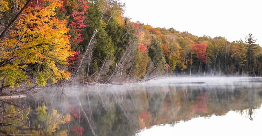 Municipalité de Mandeville