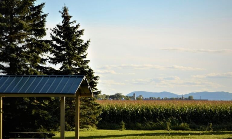 Municipalité de Saint-Barnabé-Sud