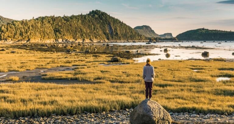 Municipalité de Saint-Cyprien - Bas-St-Laurent