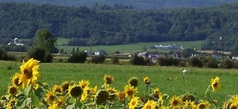 Municipalité de Saint-Joachim