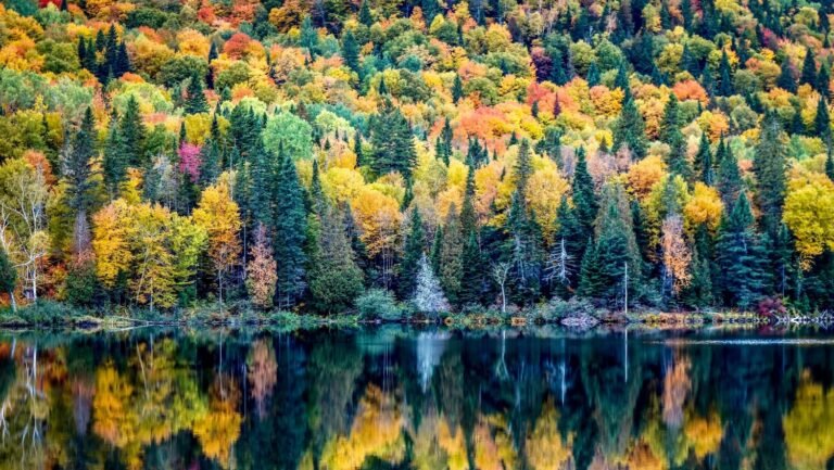 Municipalité de Saint-Mathieu-du-Parc - Photo 1