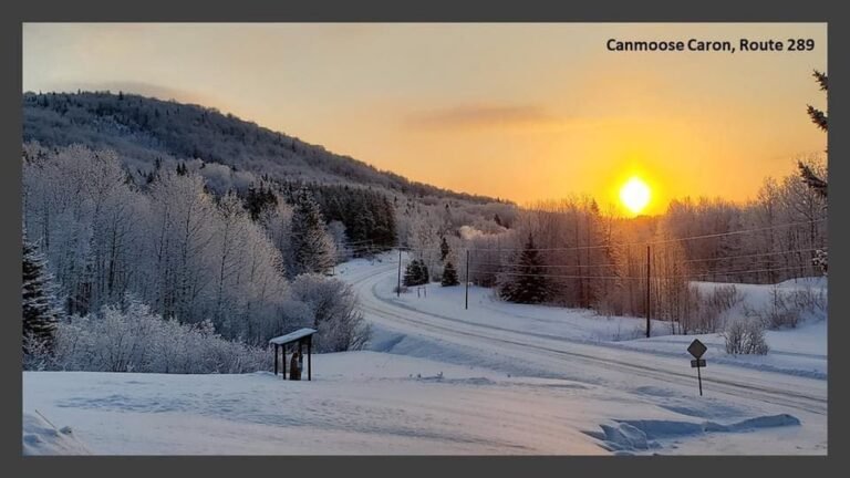 Municipalité de Saint‑Jean‑de‑la‑Lande