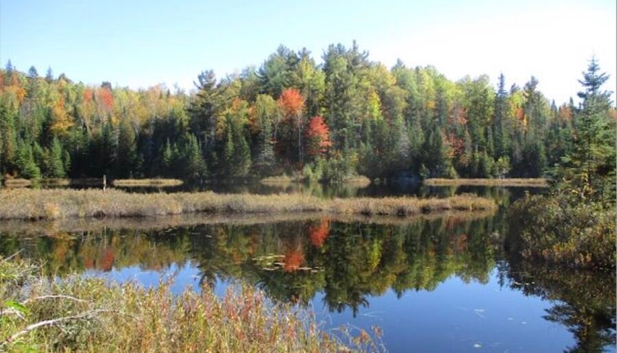Réserve de la biosphère du Lac-Saint-Pierre
