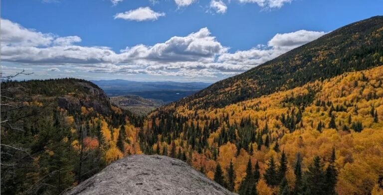 -Notre Dame des Monnts