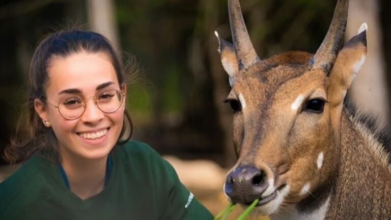 Familizoo-St-Calixte - Lanaudiere