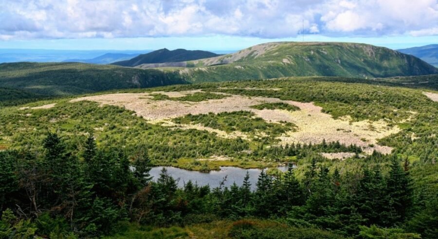 Mont Jacques-Cartier - Gaspésie