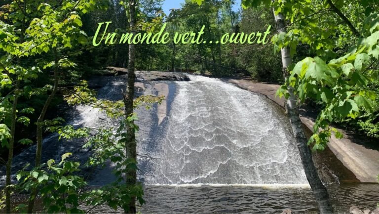 Municipalité Ferme-Neuve - Laurentides