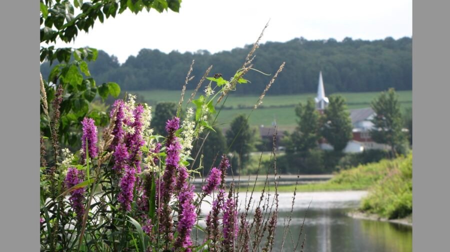 Municipalité Martinville