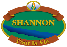 Ville de Shannon