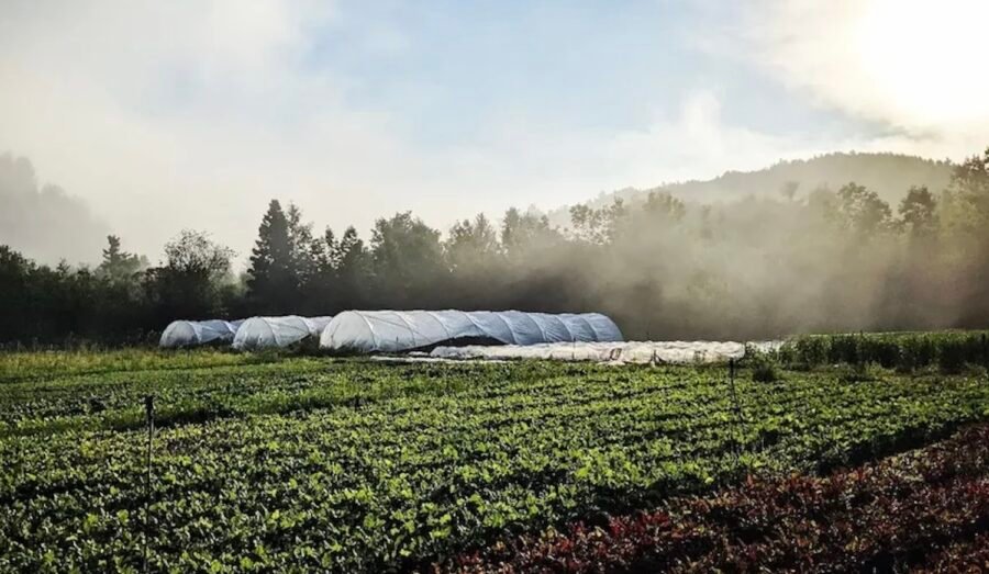 Ferme aux trois soleils