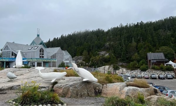 Centre d'interprétation des mammifères -Tadoussac - Cote-Nord