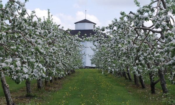 À l'Orée du Bois, Cidrerie et Ferme fruitière