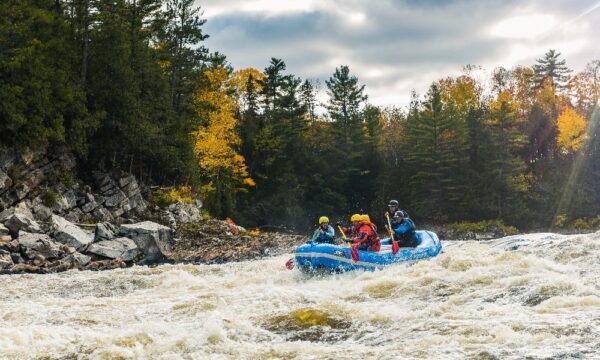 Aventure Écotourisme Québec