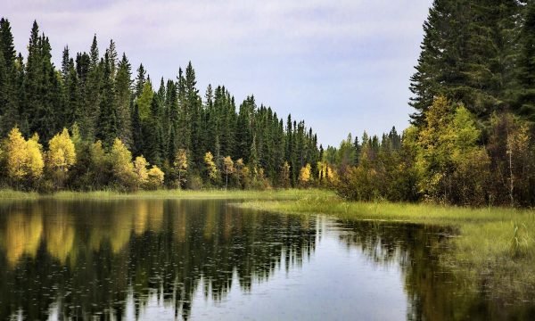 Abitibi-Témiscamingue