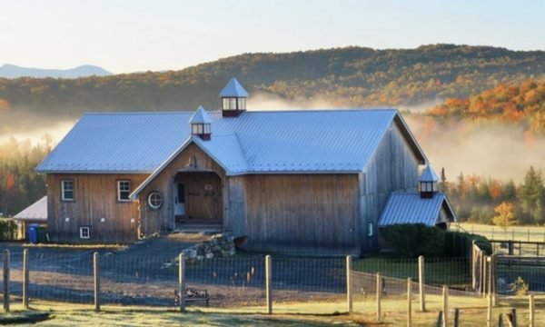 Alpagas Sutton - Cabtons de l'Est