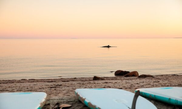 Camping Attitude Nordique - Cote-Nord