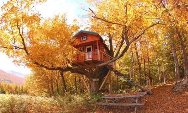 Au Diable Vert - Cantons de lest