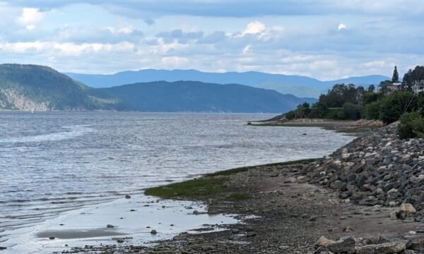 Belvédère du semeur - Saguenay